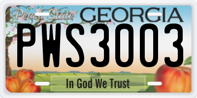 GA license plate PWS3003
