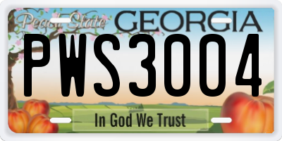 GA license plate PWS3004