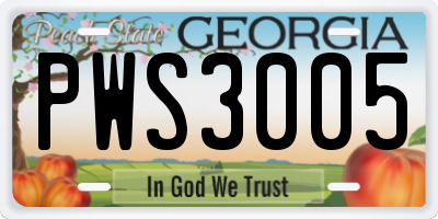GA license plate PWS3005