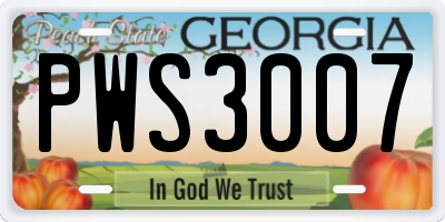GA license plate PWS3007