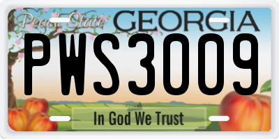 GA license plate PWS3009
