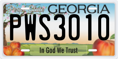 GA license plate PWS3010