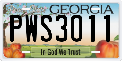 GA license plate PWS3011