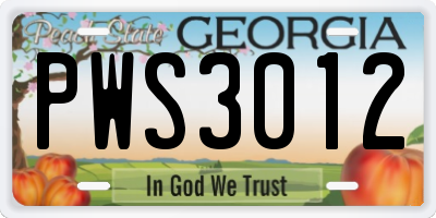 GA license plate PWS3012