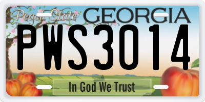 GA license plate PWS3014