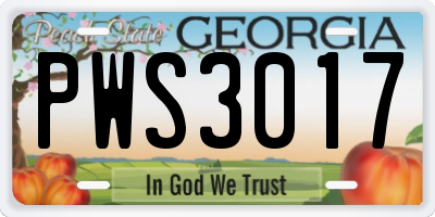 GA license plate PWS3017