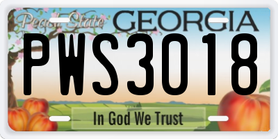 GA license plate PWS3018