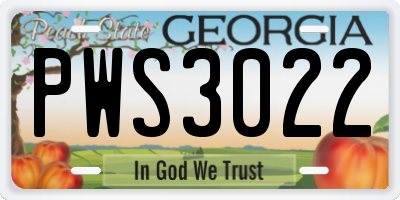 GA license plate PWS3022
