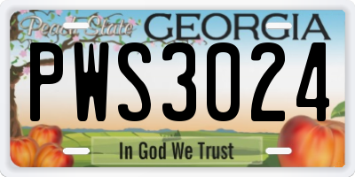 GA license plate PWS3024
