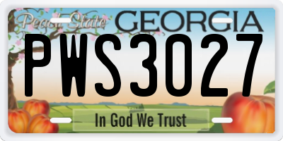 GA license plate PWS3027