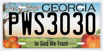 GA license plate PWS3030