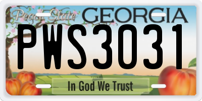 GA license plate PWS3031