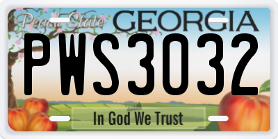GA license plate PWS3032