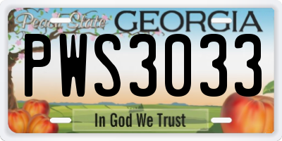 GA license plate PWS3033