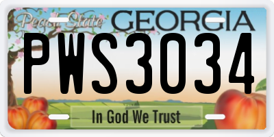 GA license plate PWS3034