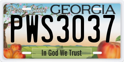 GA license plate PWS3037