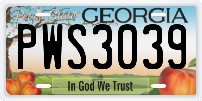 GA license plate PWS3039
