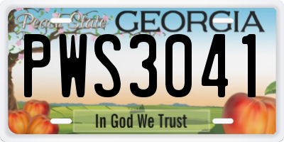 GA license plate PWS3041