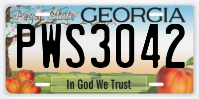 GA license plate PWS3042