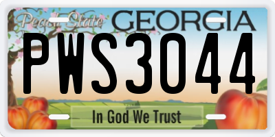 GA license plate PWS3044