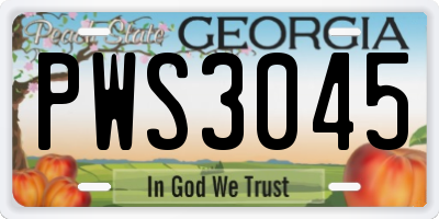 GA license plate PWS3045
