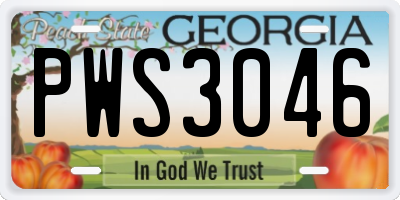 GA license plate PWS3046