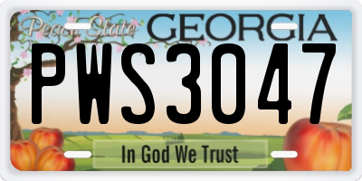 GA license plate PWS3047