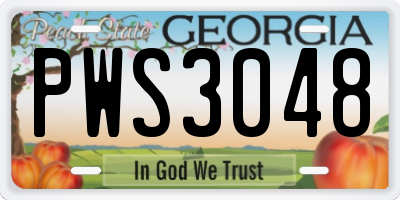 GA license plate PWS3048