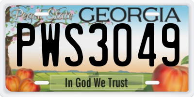 GA license plate PWS3049