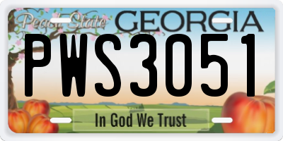 GA license plate PWS3051