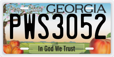 GA license plate PWS3052