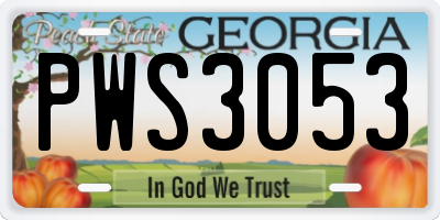 GA license plate PWS3053