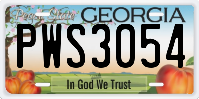 GA license plate PWS3054