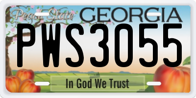 GA license plate PWS3055