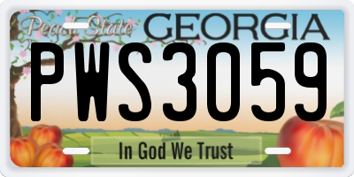 GA license plate PWS3059