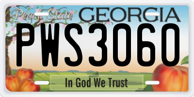 GA license plate PWS3060