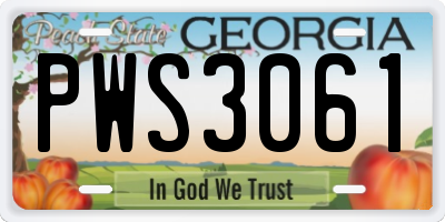 GA license plate PWS3061