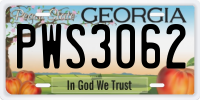GA license plate PWS3062