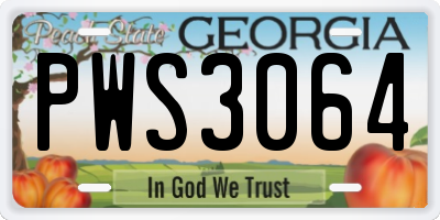 GA license plate PWS3064