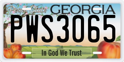 GA license plate PWS3065