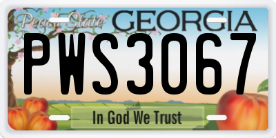 GA license plate PWS3067
