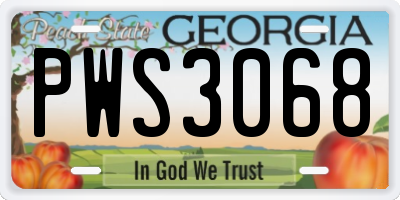 GA license plate PWS3068