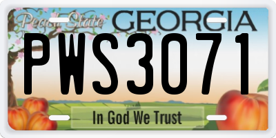 GA license plate PWS3071