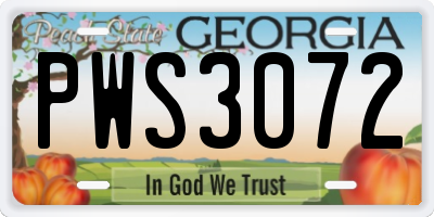GA license plate PWS3072
