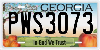 GA license plate PWS3073