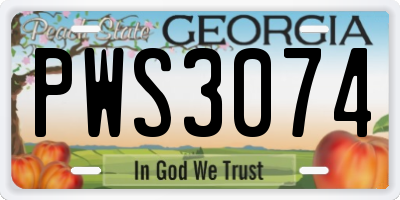GA license plate PWS3074