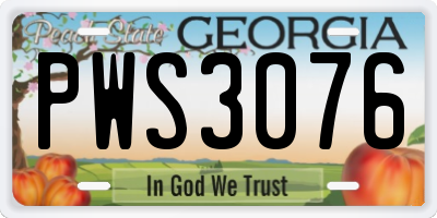 GA license plate PWS3076