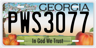 GA license plate PWS3077