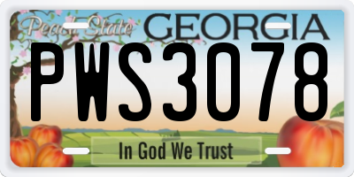 GA license plate PWS3078