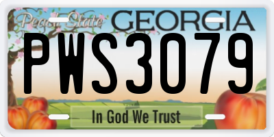 GA license plate PWS3079